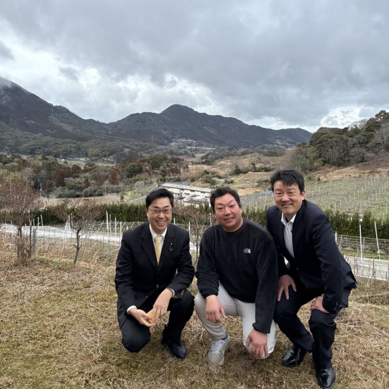 Image for the Tweet beginning: みゃこ町犀川に広大に拡がる果樹園。
有限会社 松木果樹園に松木慎介代表を訪ねました。

除草剤なし、有機肥料、樹上完熟・・・。
福岡の、みやこ町の宝物ですよね。
絶対に大切にしなくてはならない。
有難うございました。 