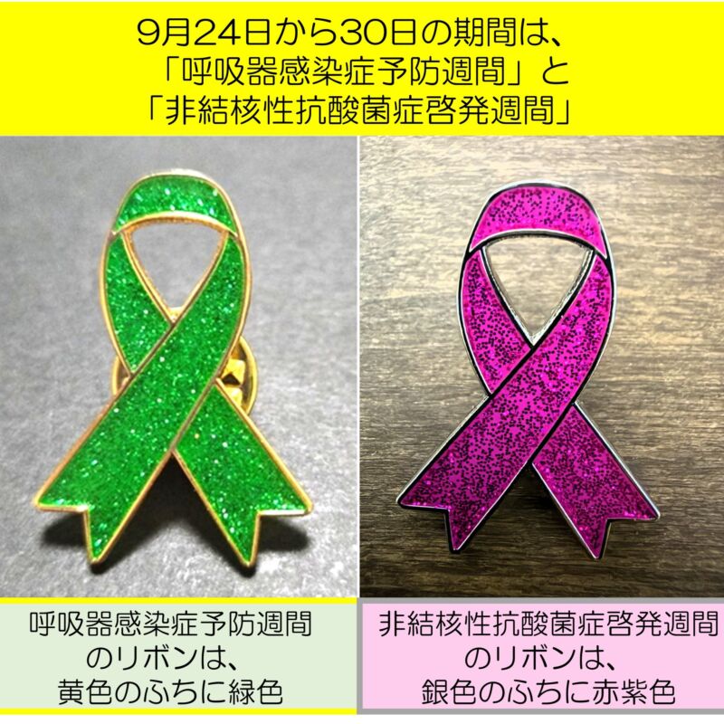Image for the Tweet beginning: 9月24日－30日の期間につきましては、国会質疑を通じて
2024年に「呼吸器感染症予防週間」、
2026年に「非結核性抗酸菌症啓発週間」
の創設を実現しました。
呼吸器感染症予防週間の啓発リボンは、黄色のふちに緑色。
非結核性抗酸菌症啓発週間の啓発リボンは、銀色のふちに赤紫色。 